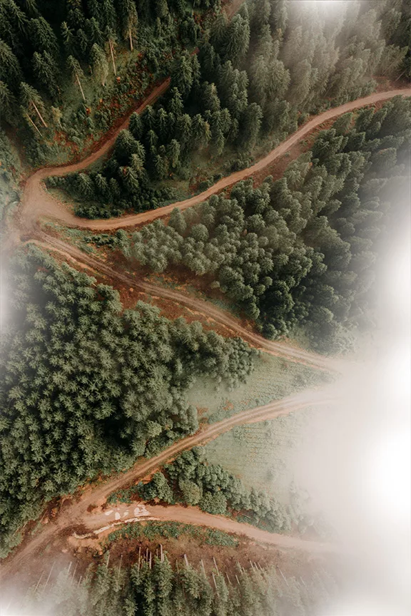 Aus der Vogelperspektive sieht man einen braunen Zickzackpfad durch einen Wald voller grüner Bäume verlaufen